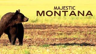 Majestic Montana — #The50 composer Marcia Stockton