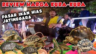 REVIEW HARGA KURA-KURA di PASAR IKAN HIAS JATINEGARA  SULCATA REDFOOT DAN PARDALIS ADA DISINI