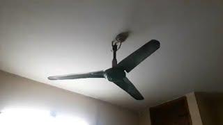 48 Hasan ceiling fan