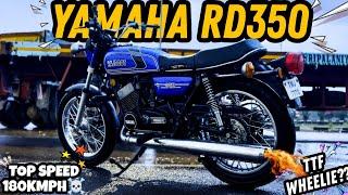 YAMAHA RD350VS DUKE 390 DRAGUNEXPECTED️SUPPORT TTF ANNA🫂️