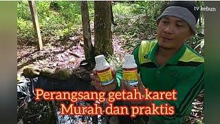 Perangsang Getah karet racikan Murah dan Praktis.