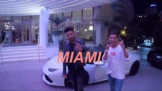 wild+ Miami Visuals & Lyrics