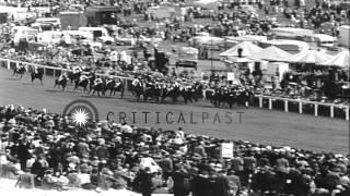 Thoroughbred horse Psidium wins the Epsom Derby at Epsom Downs Racecourse in Epso...HD Stock Footage