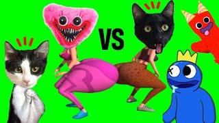 Rainbow Friends pero jugando vs gatitos Luna y Estrella en juego Twerk Race 3d  Videos de gatos