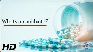 The Science of Antibiotics How They Work and Why They Matter