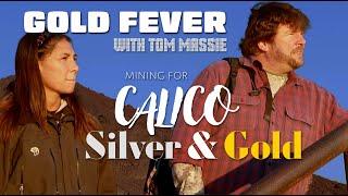 Gold Fever Mining For Calico Silver And Gold