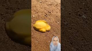 Masukin telur di pasir #short