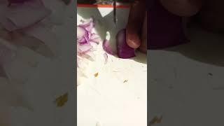 onion cutting#shorts #shortvideos #viral #viralvideos