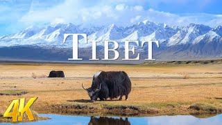 Tibet 4K UHD - Beautiful Nature Scenery With Epic Cinematic Music - Natural Landscape