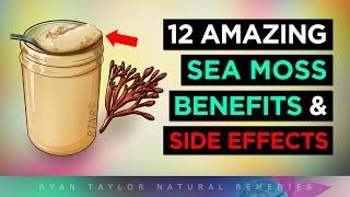 Sea Moss Gel 12 Amazing Health Benefits & Side Effects