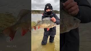 Random fishing from all over the worldслучайная рыбалка со всего света #1