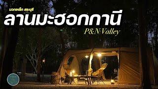 กางเต็นท์ลานมะฮอกกานี P&N Valley สระบุรี ลานหินโซนใหม่ล่าสุด