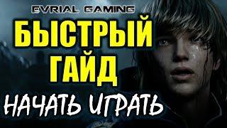 Lost Ark Online Как начать играть на Корее аккаунт впн настройки #EvrialGaming