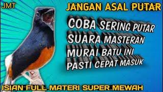 COBA SERING PUTAR SUARA MASTERAN MURAI BATU INI PASTI CEPAT MASUK