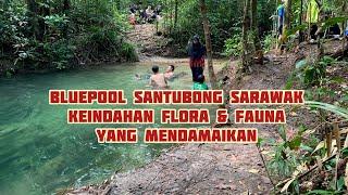 Bluepool kem permai Santubong - Keindahan Flora & Fauna yang mengasyikkan