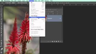 How to use the new Focus Area Tool in Photoshop CC 2014