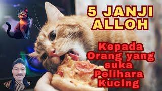 JANJI ALLOH KEPADA PEMELIHARA KUCING #kucing #faktakucing #kucinglucu #pakankucing