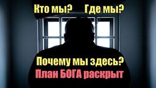 Кто мы? Где мы? Почему мы здесь? План Бога Раскрыт  Сон Разума