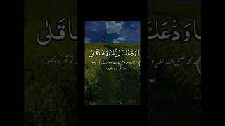 آج کے دن کی شروعات اللہ تعالیٰ کے پیارے کلام سے کریں اللہ کے پیارے نیک بندوں کے لیے تحفہ ️