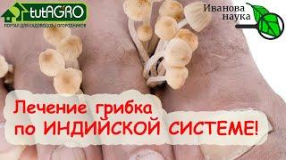 НОГИ ИНДУСА - СПОСОБ ПОЛНОГО ИЗЛЕЧЕНИЯ ГРИБКА НАТУРАЛЬНЫМИ СРЕДСТВАМИ