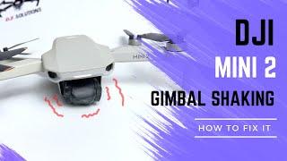 Fix DJI Mini 2 Gimbal Shaking Violently