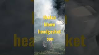 thatsa blown headgasket son #shorts #engine #lawnmower #repair