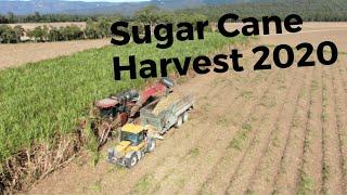 Sugar Cane Harvest 2020