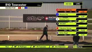 Carreras de Galgos - Towcester 2023 -  SIS