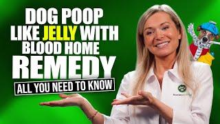 Dog Poop Like Jelly with Blood Home Remedy  5 NATURAL Ways To Do It Properly
