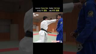 The Karate masters high-speed punch astonishes the Jiu-Jitsu master