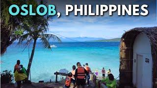 Oslob Cebu Travel Guide Whale Sharks Waterfalls & Beaches