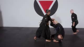 Aikido 合気道 Basic Randori Practice  Zenbu Dojo