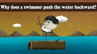 Newtons 3rd Law - Why does a swimmer push the water backward?  #aumsum #kids #science