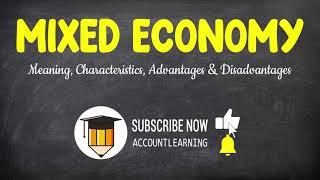 Mixed Economy - Meaning Characteristics Advantages & Disadvantages