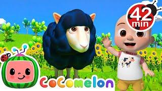 Baa Baa Black Sheep - CoComelon  Kids Cartoons & Nursery Rhymes  Moonbug Kids