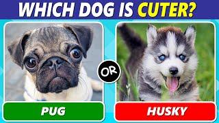 Which Dog is Your Favorite? Dog Lover Edition