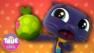 Autumn FULL EPISODES  Grabbleapple Harvest & More   True and the Rainbow Kingdom 