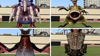 I FOUND NEW ZOOCHOSIS MUTATED ANIMALS In Garrys Mod