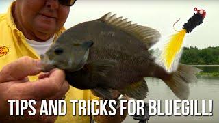 Tips and Tricks for Bluegill