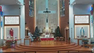 Christmas Mass - 8am Sunday 25th December 2022 - at St Aloysius Cronulla