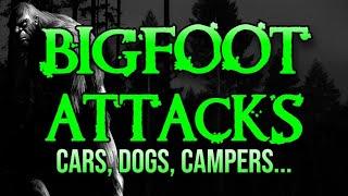 BIGFOOT ATTACKS  CARS DOGS CAMPERS...