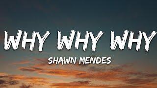 Shawn Mendes - Why Why Why Lyrics