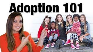 Adoption 101  Mindy McKnight