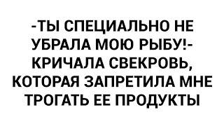 -Ты специально не убрала мою рыбу- кричала свекровь которая запретила мне трогать ее продукты