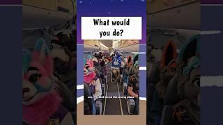 wyd if you got on a plane and see this?  #furries #furrymemes