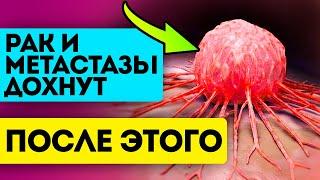 Учёные чтобы рак и метастазы засохли больше не появлялись - эти продукты нужно добавить в рацион