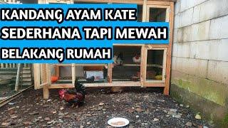 Kandang Ayam Kate Sederhana Tapi Mewah Di Belakang Rumah