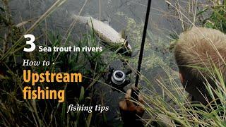 How to • Upstream fishing • Sea trout in Rivers • fishing tips