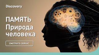 Память  Природа человека  Discovery