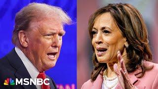 Just plain weird Harris allies shifting tone on Trump campaign attacks